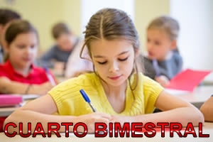 RESULTADOS DE IV EXAMEN BIMESTRAL - VES